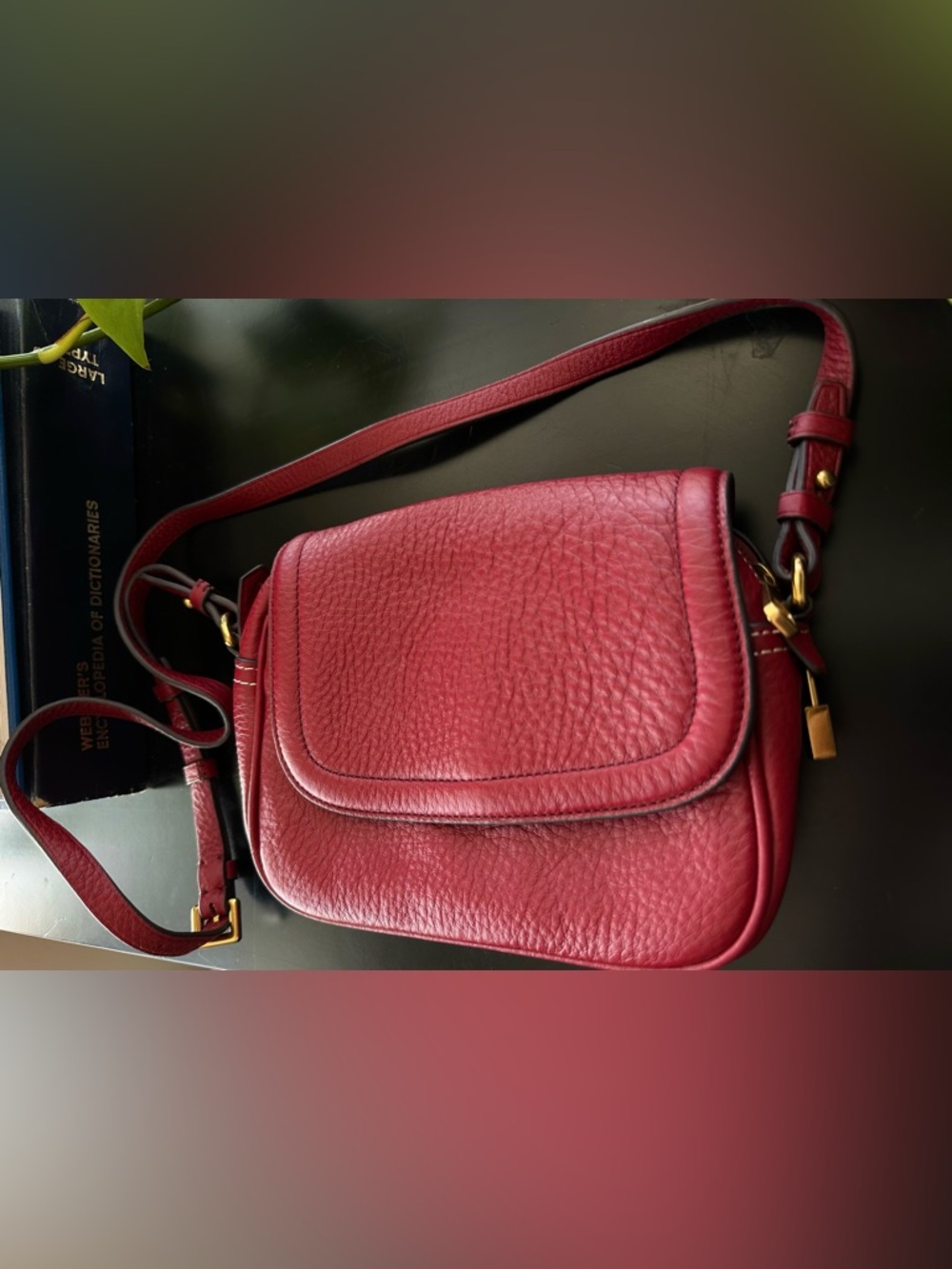 J. Crew Lock & Key Crossbody - Picture 2 of 13
